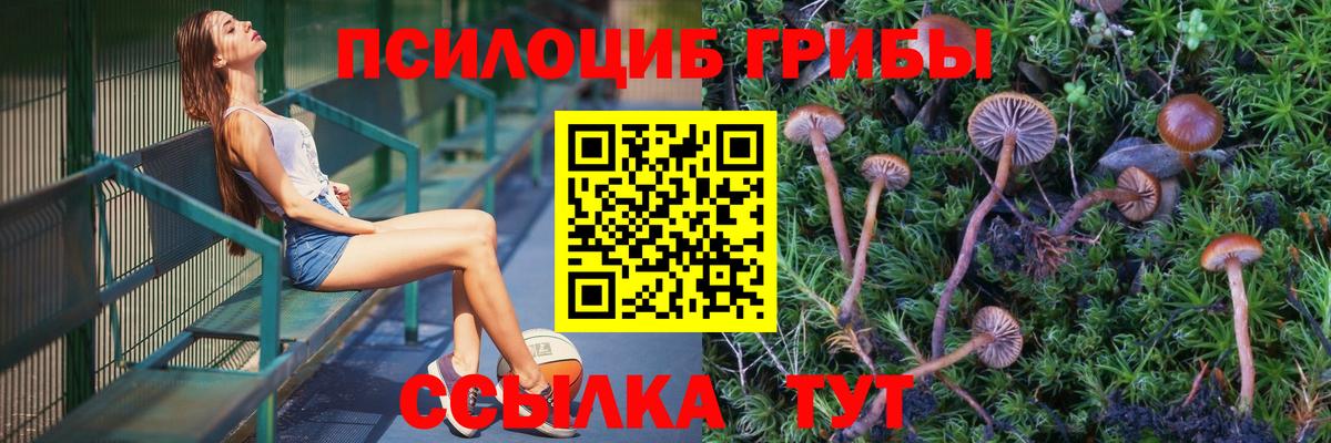 Галлюциногенные грибы мицелий  Псилоцибиновые грибы мухоморы  Вход с VPN  Великий Новгород 